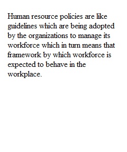 Human Resource Policy Project Research Paper